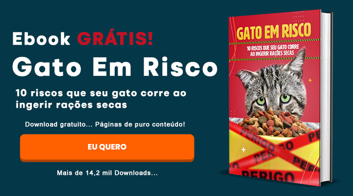 Gato pode comer mam&atilde;o